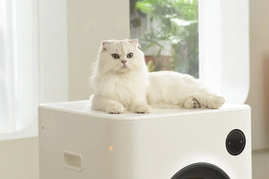 best self cleaning cat litter